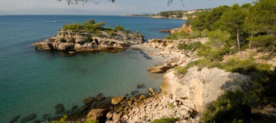 Platja de l'Illot, Turisme, Turística, GR-92, Medi Ambient