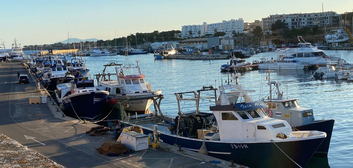 L’arrossegament de l’Ametlla de Mar inicia una aturada biològica de dos mesos i mig