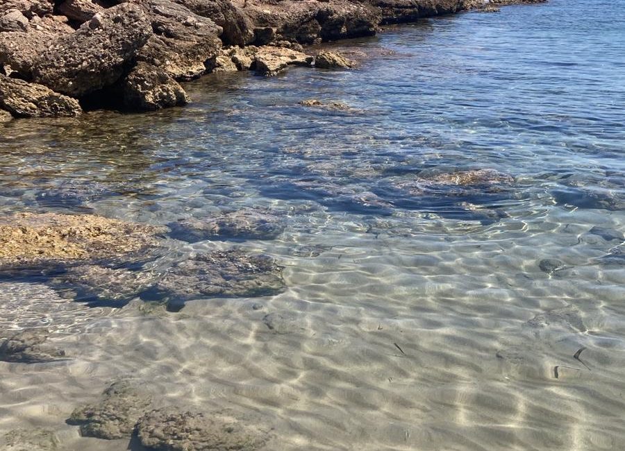 L’Ajuntament de l’Ametlla de Mar defensa l’excel·lent qualitat de les aigües del municipi davant les referències de l’informe Banderes Negres 2026